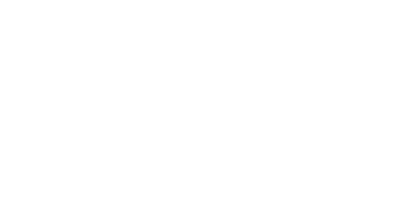 Nomadic Pictures Logo