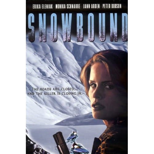 Snowbound Cover