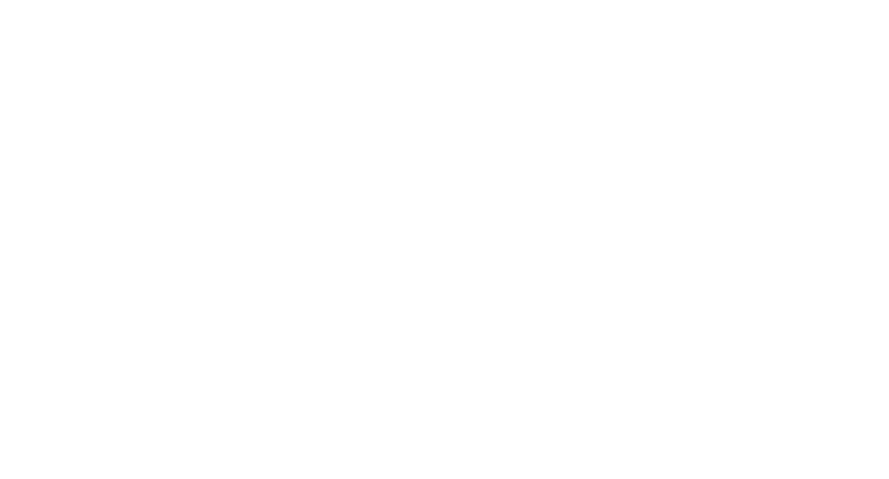 Nomadic Pictures Logo
